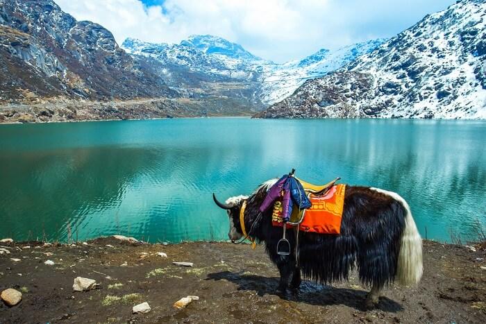 MOST VISITED PLACE IN INDIA: SIKKIM