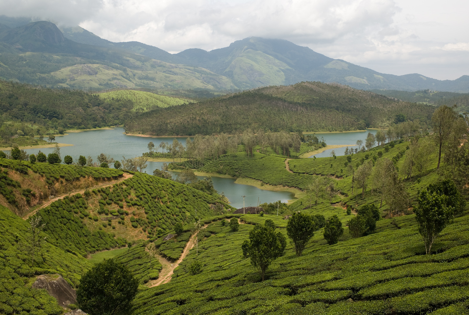 5 Hill Station in Tamil Nadu To Visit.