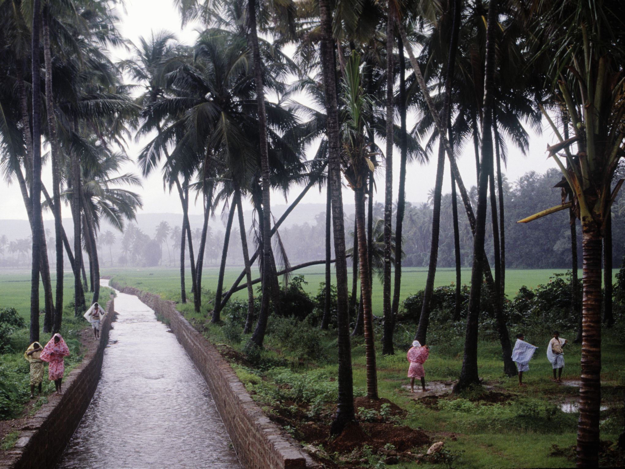 Goa During Monsoon.