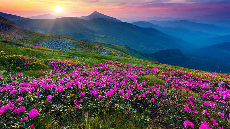 Places to visit in September.