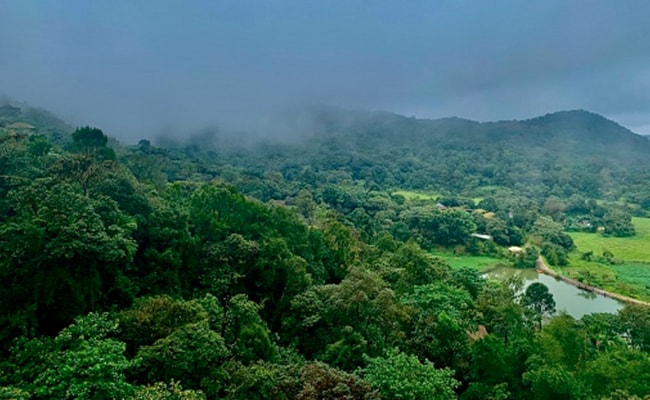 Coorg: Hill station for Couple