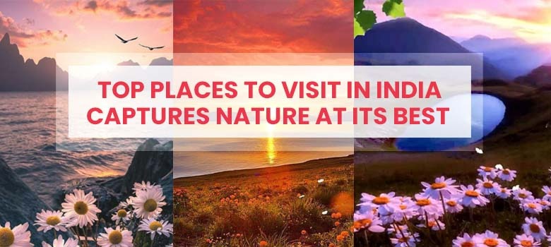 TOP PLACES TO VISIT IN INDIA TO CAPTURE NATURE AT ITS BEST