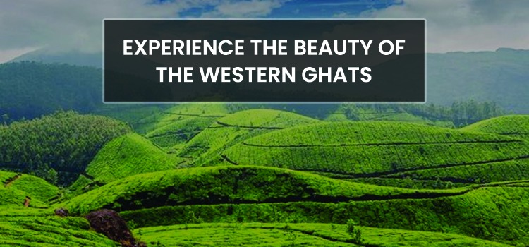 EXPERIENCE THE BEAUTY OF THE WESTERN GHATS