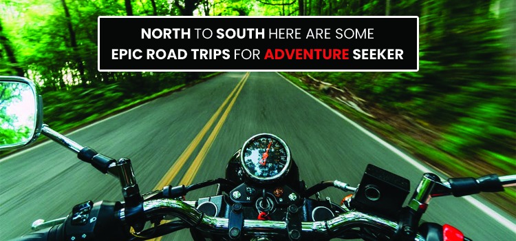 NORTH TO SOUTH HERE ARE SOME EPIC ROAD TRIPS FOR ADVENTURE SEEKER