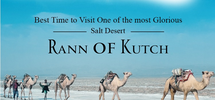 BEST TIME TO VISIT ONE OF THE MOST GLORIOUS SALT DESERT RANN OF KUTCH