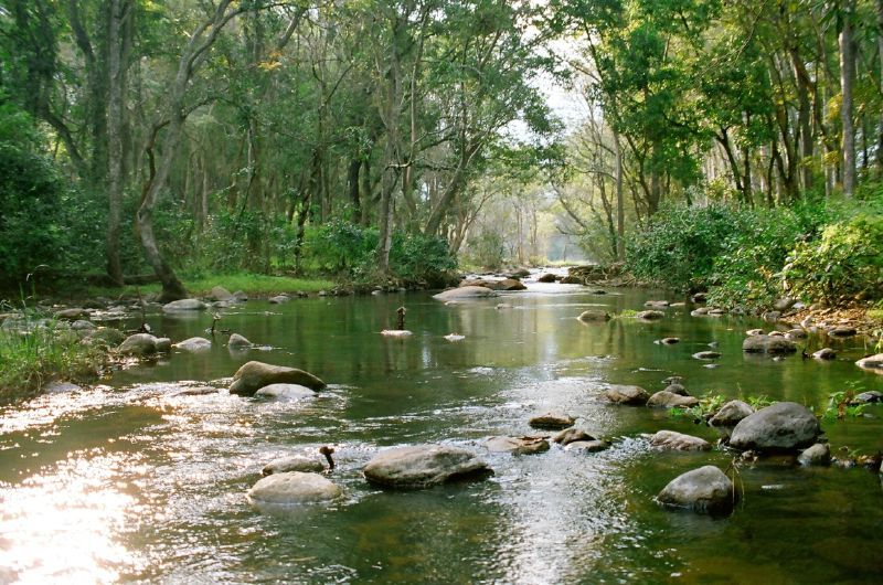 PRIME LOCATIONS TO VISIT WILDLIFE SANCTUARIES IN INDIA.