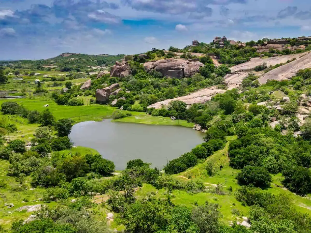 PRIME LOCATIONS TO VISIT ON WILDLIFE SANCTUARY DAY.