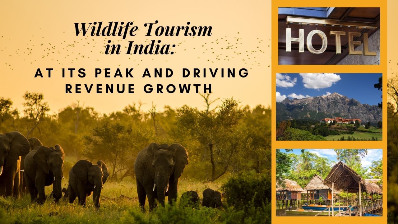 Wildlife Tourism