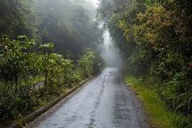 Why Visit During Monsoon?
