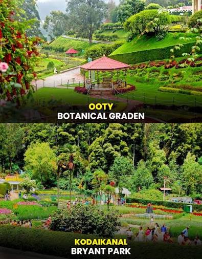 Discover the Magic of Ooty and Kodaikanal During Monsoon